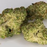 tropicexotic cannabis store