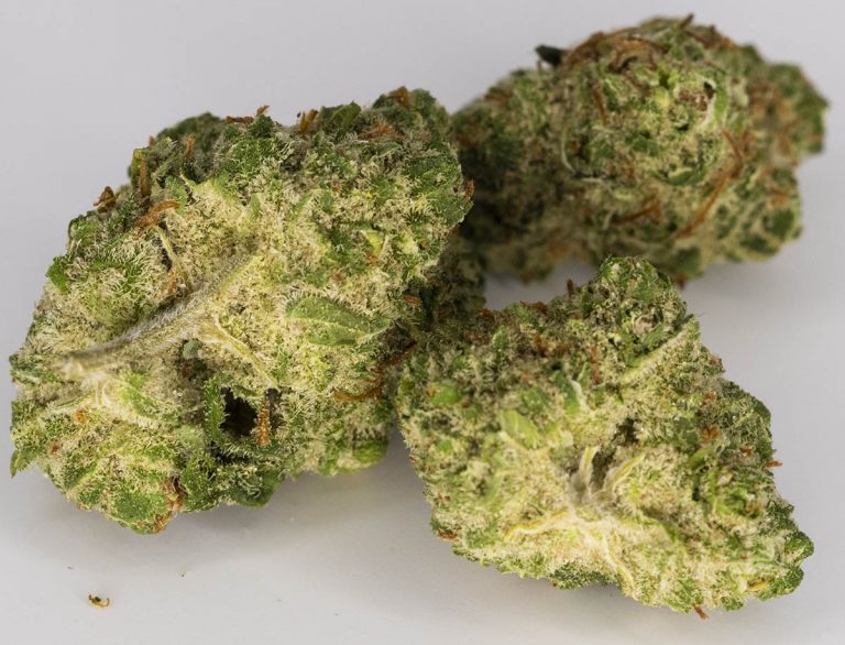 tropicexotic cannabis store