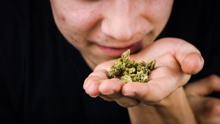Weed Delivery Service