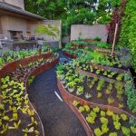 landscape maintenance