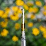 cbd flower for sale