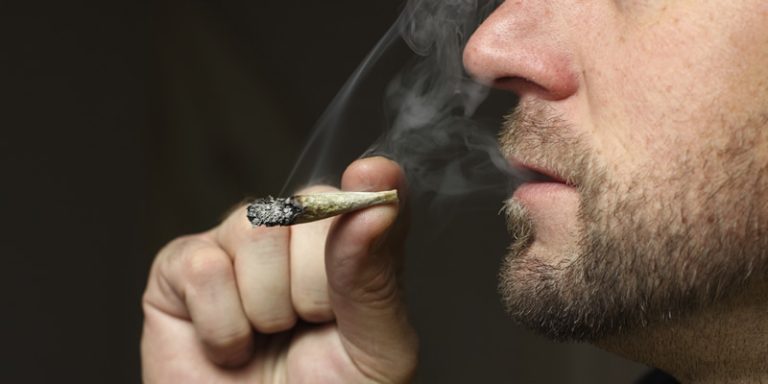 CBD hemp flower – benefits and more