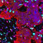 Unlock Cellular Secrets: Precision with Targeted Bioscience LCM Microscope