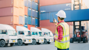 What Makes a Shipping Service Reliable?