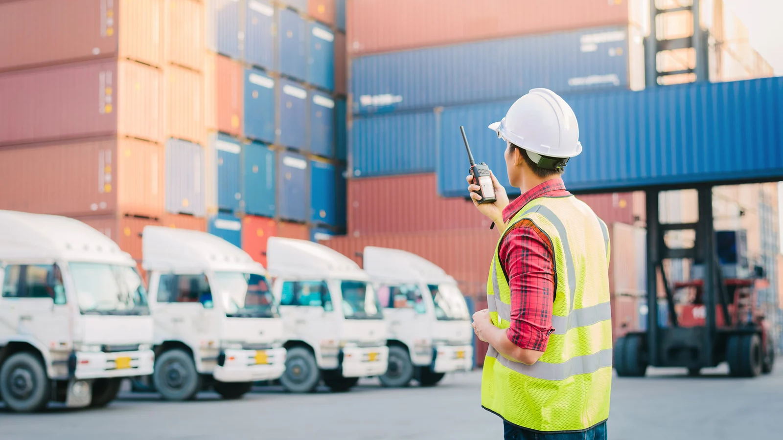 What Makes a Shipping Service Reliable?