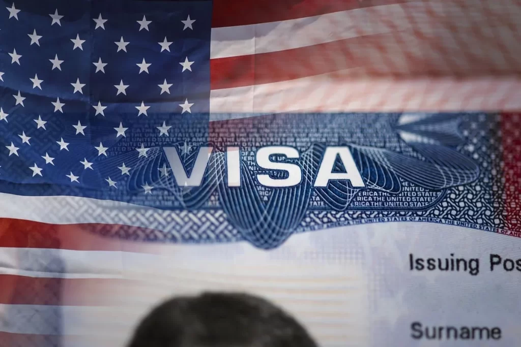 what does a us work visa look like